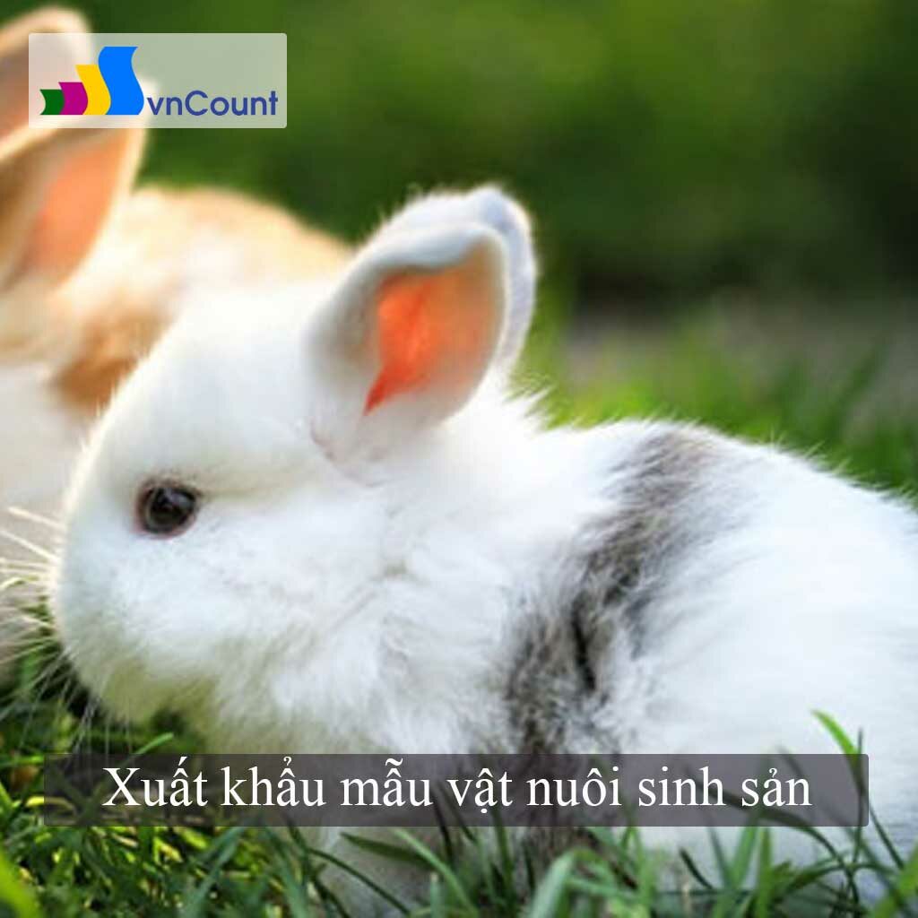 xuất khẩu mẫu vật nuôi sinh sản