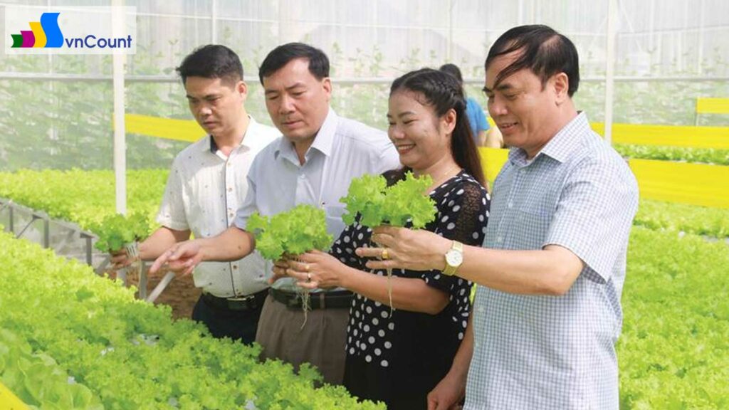 hội đồng quản trị hợp tác xã