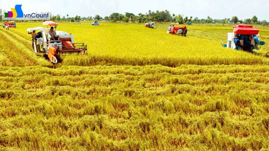 hợp tác xã và liên hiệp hợp tác xã