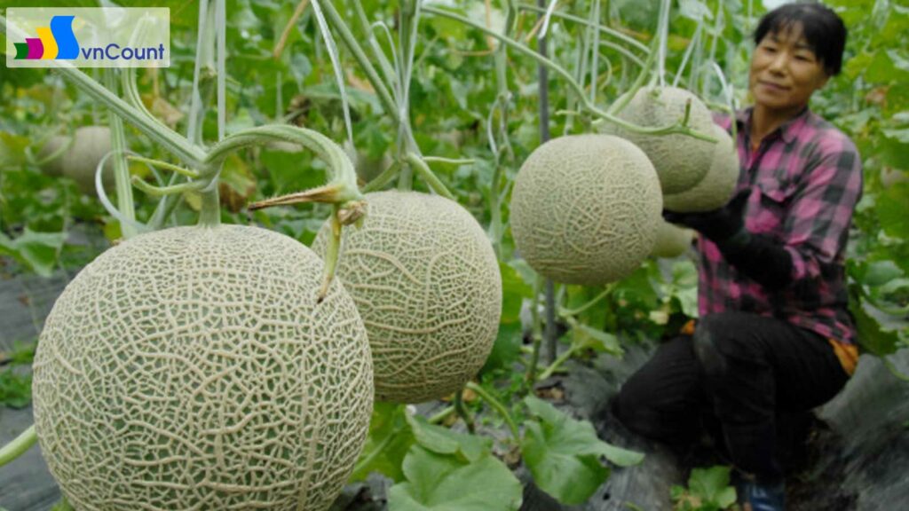 thành lập hợp tác xã